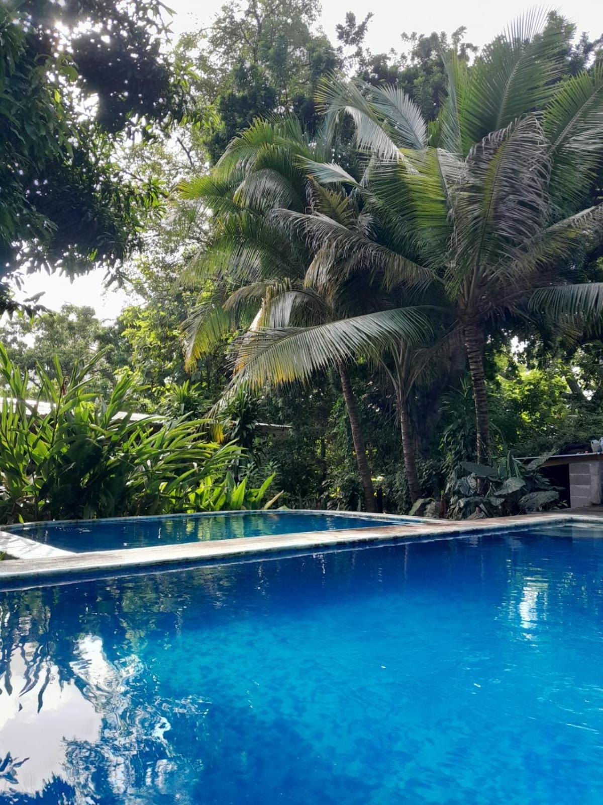 Appartamento Hammock Plantation El Zonte Esterno foto